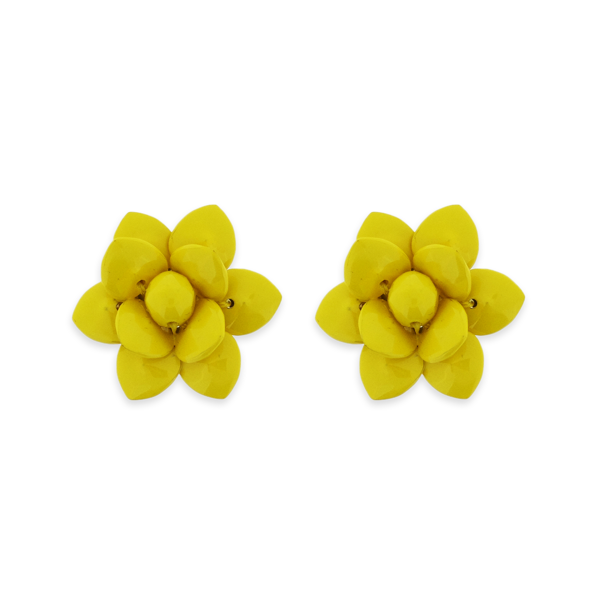 Giglio Giallo Single