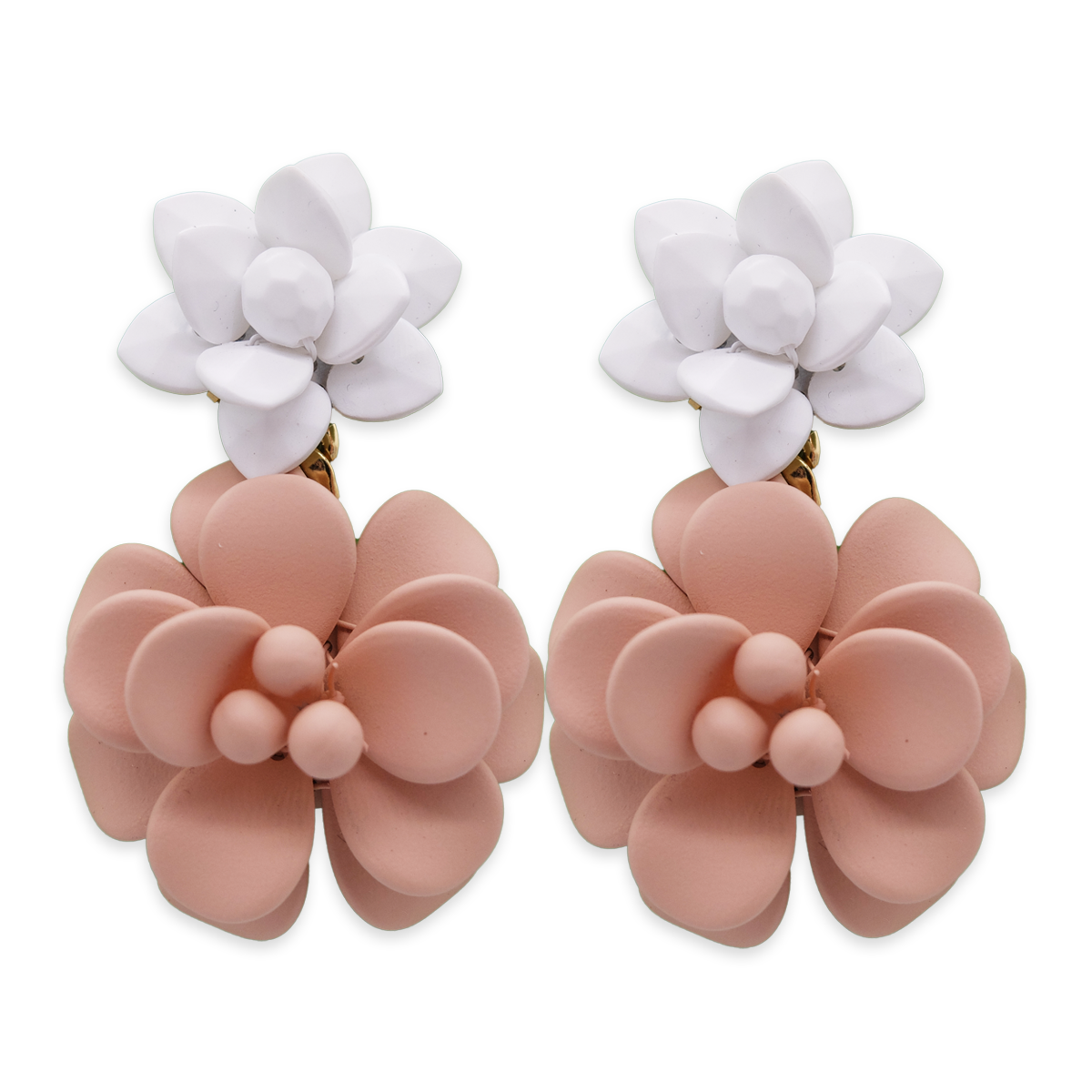 Ibisco Bianco e Rosa
