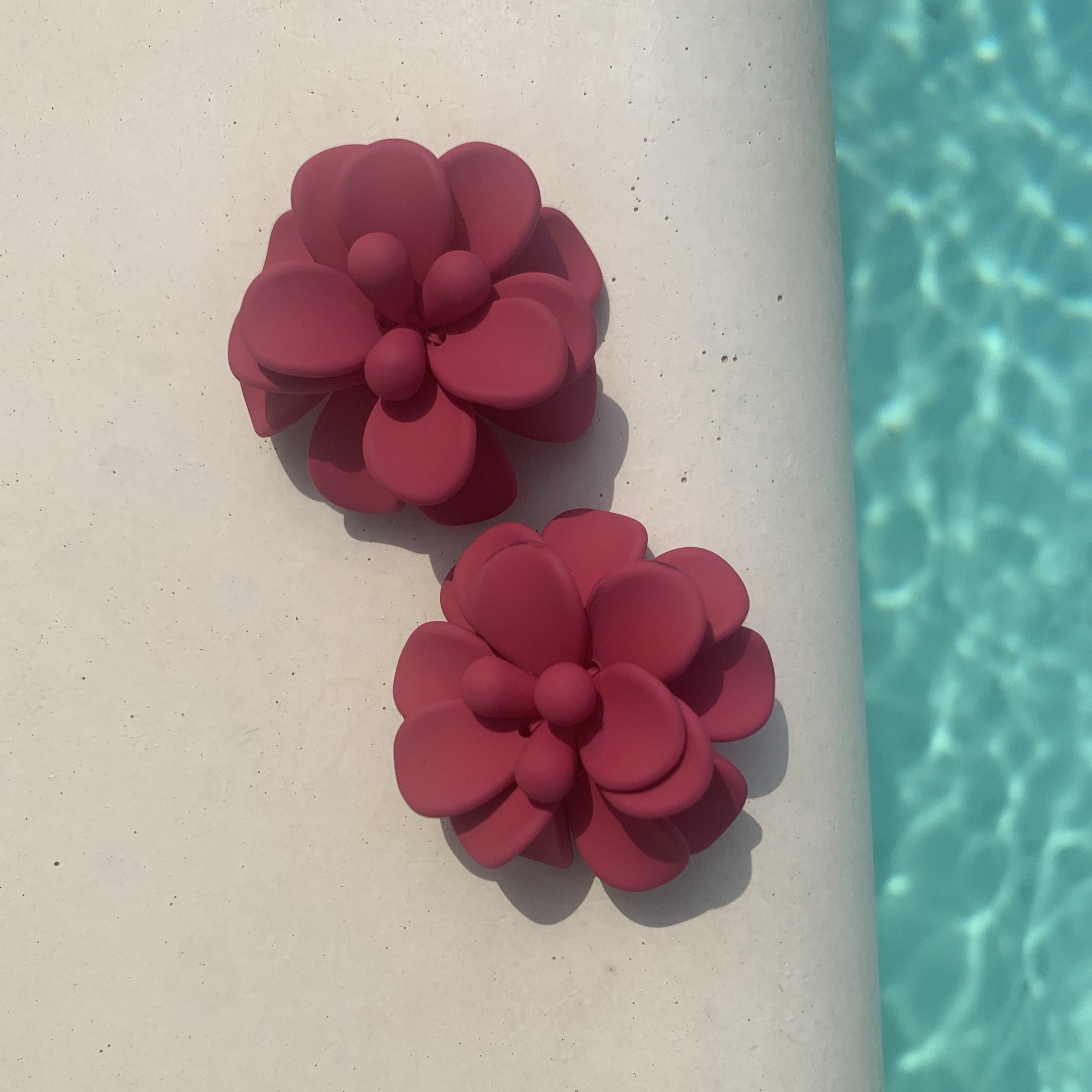 Hibiscus Fuchsia Single