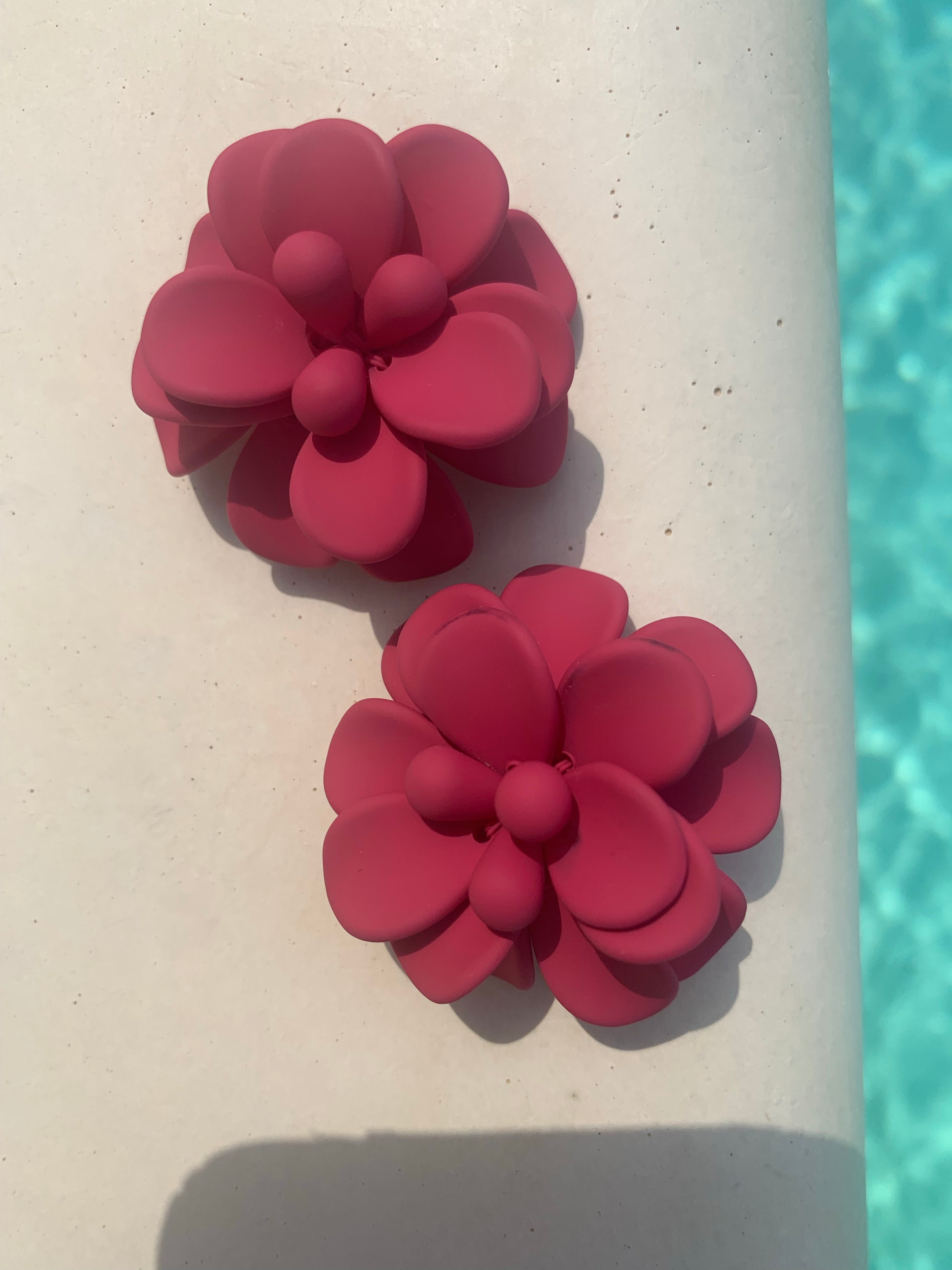 Hibiscus Fuchsia Single
